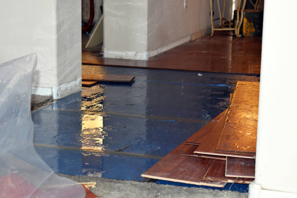 Professional Basement Flood Cleanup technician working in Cable, OH